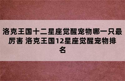 洛克王国十二星座觉醒宠物哪一只最厉害 洛克王国12星座觉醒宠物排名